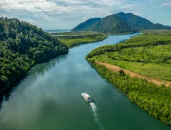 Frankland Islands Reef Cruise & All Inclusive Guided Tour